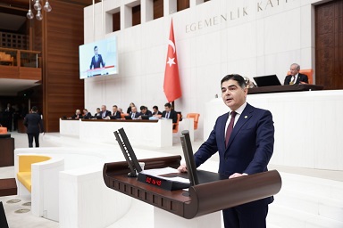 CİNİSLİ;CUMHURBAŞKANLIĞINDAKİ BAZI ÖZEL KANUNLARI ELEŞTİRDİ…