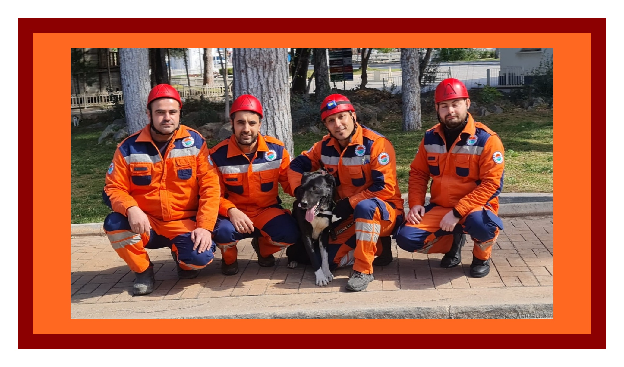 Depremzede köpek ‘Hayat’, yeni hayatlar kurtaracak