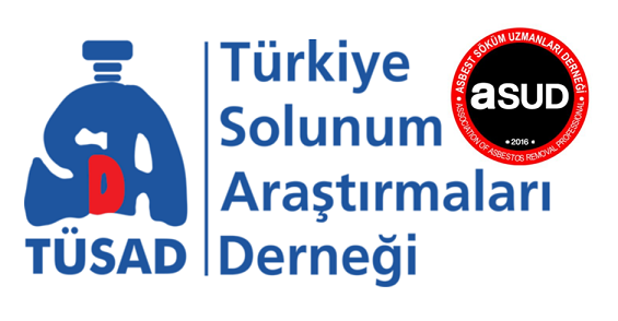 TÜSAD ENKAZ ÇALIŞMALARINDAKİ ASBEST TEHLİKESİNE KARŞI UYARDI