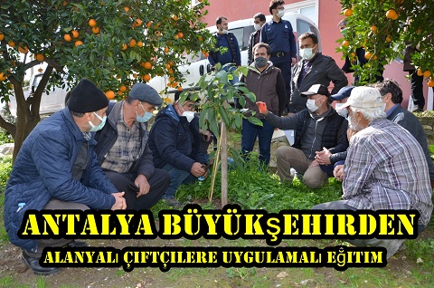 Büyükşehirden Alanyalı çiftçilere uygulamalı eğitim