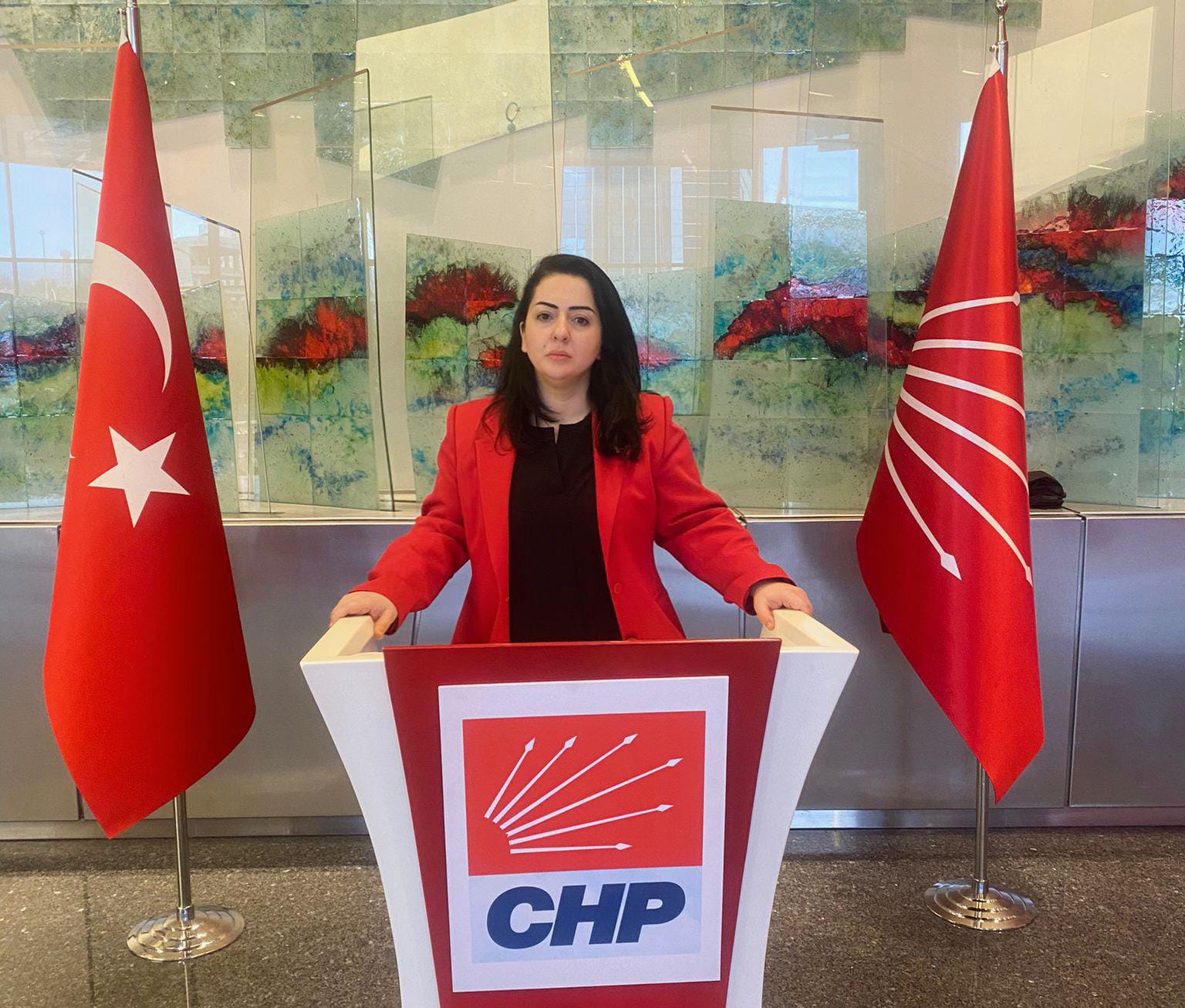 Gazeteci Yazar Özge Demir CHP Bursa Milletvekili Aday Adaylığı Başvurusunu Yaptı