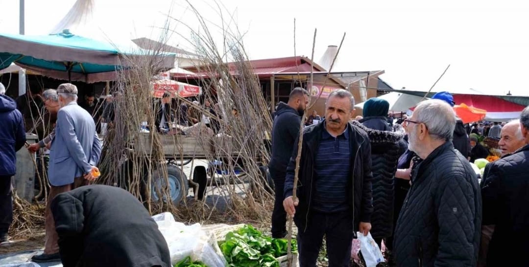 Meyve fidanı satışı başladı