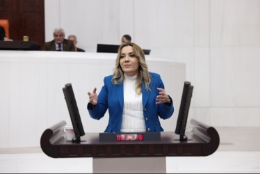 İYİ PARTİ ISPARTA MİLLETVEKİLİ AYLİN CESUR DOĞA NASIL KATLEDİLDİĞİNİ TBMM GENEL KURULUNDA DİLE GETİRDİ.