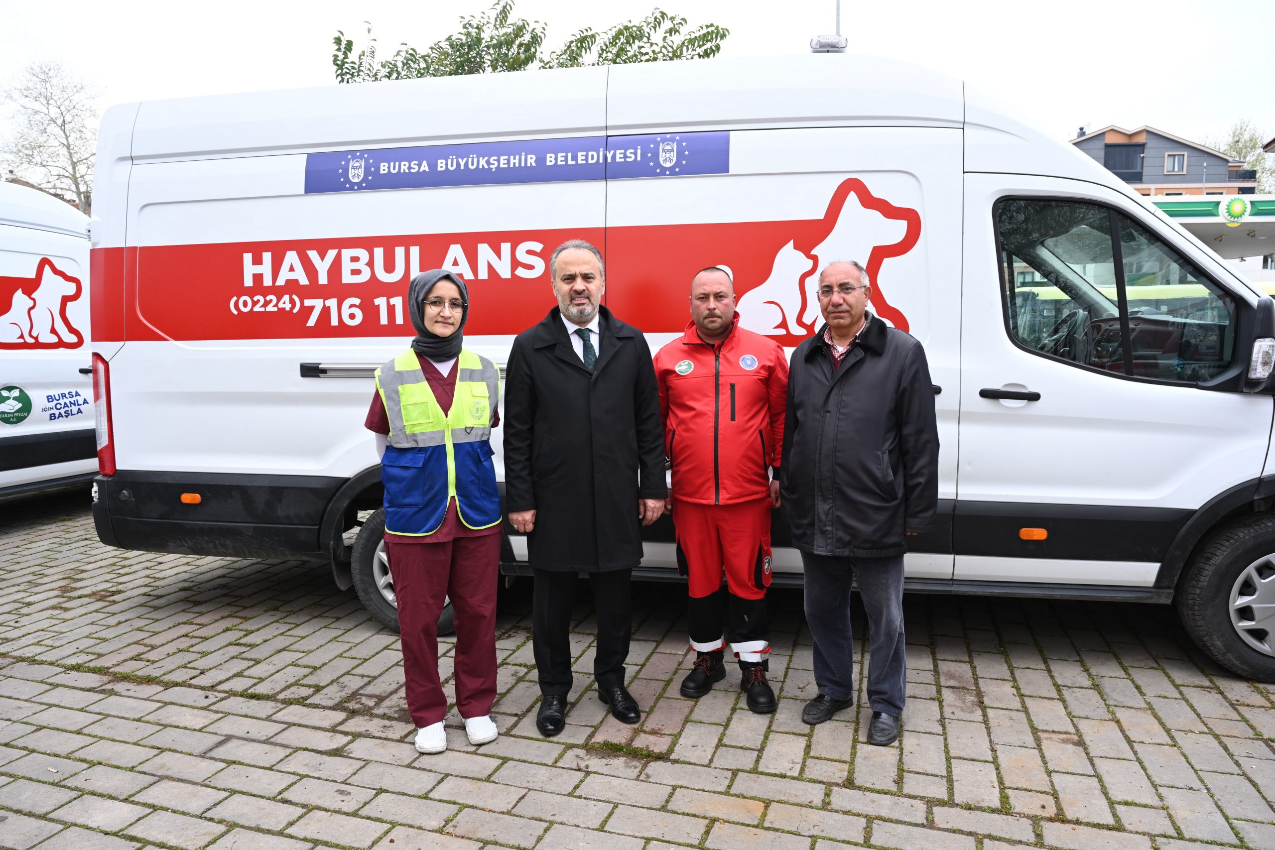 Patili dostlara ‘Haybulans’