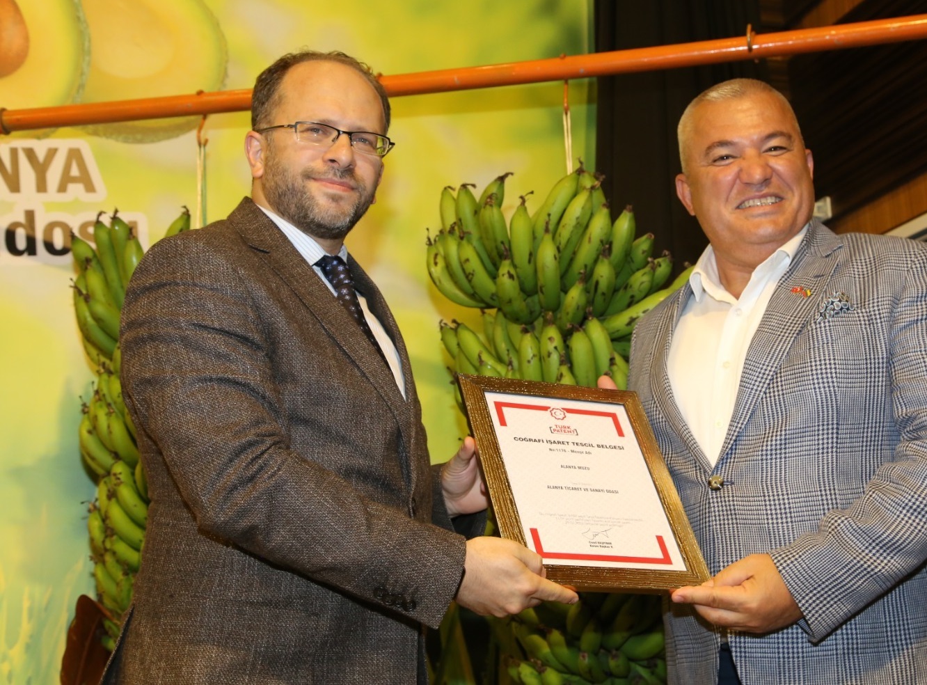 Keçiboynuzu Alanya’nın… İşte belgesi