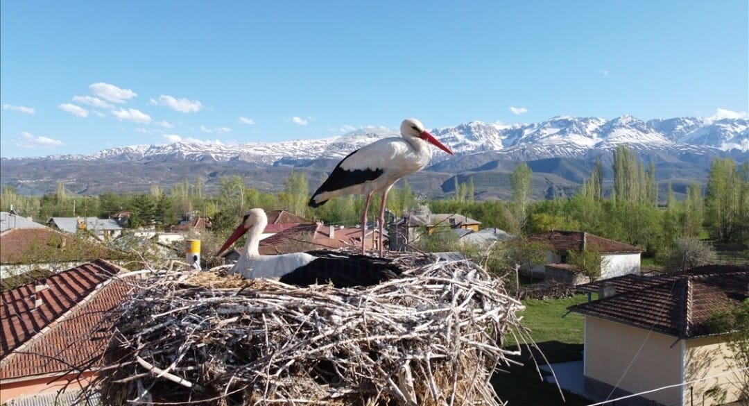 ERZİNCAN,DAN KÖYLÜLERDEN AYRILMAYAN VEFALI LEYLEĞİ…