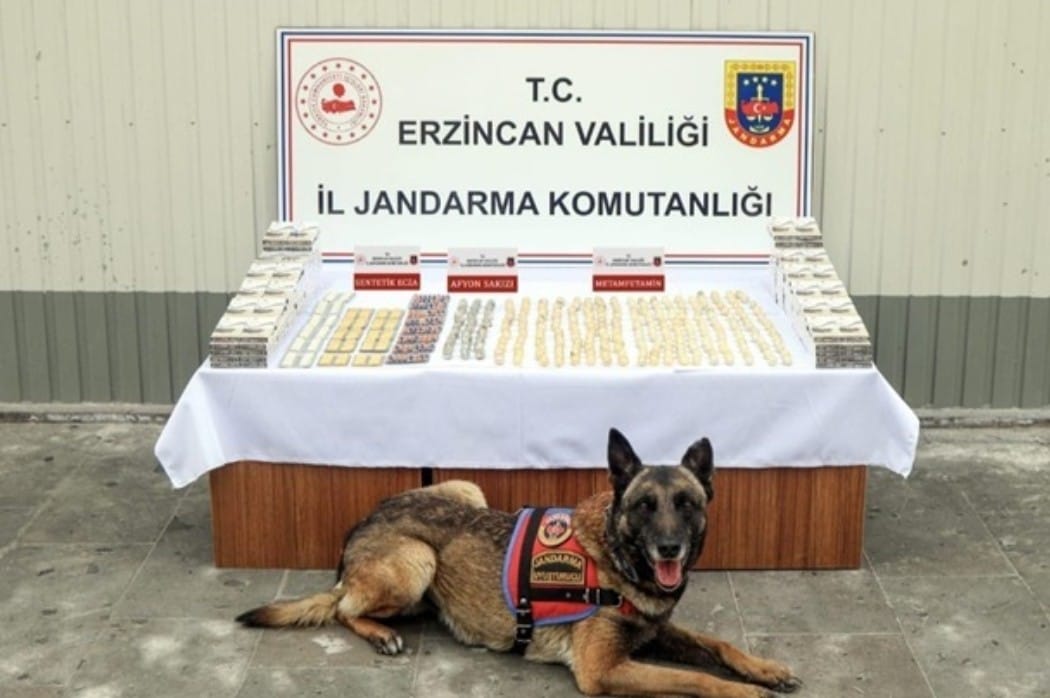 ERZİNCAN İLÇESİ ÜZÜMLÜ,DE UYUŞTURUCU OPERASYONU..