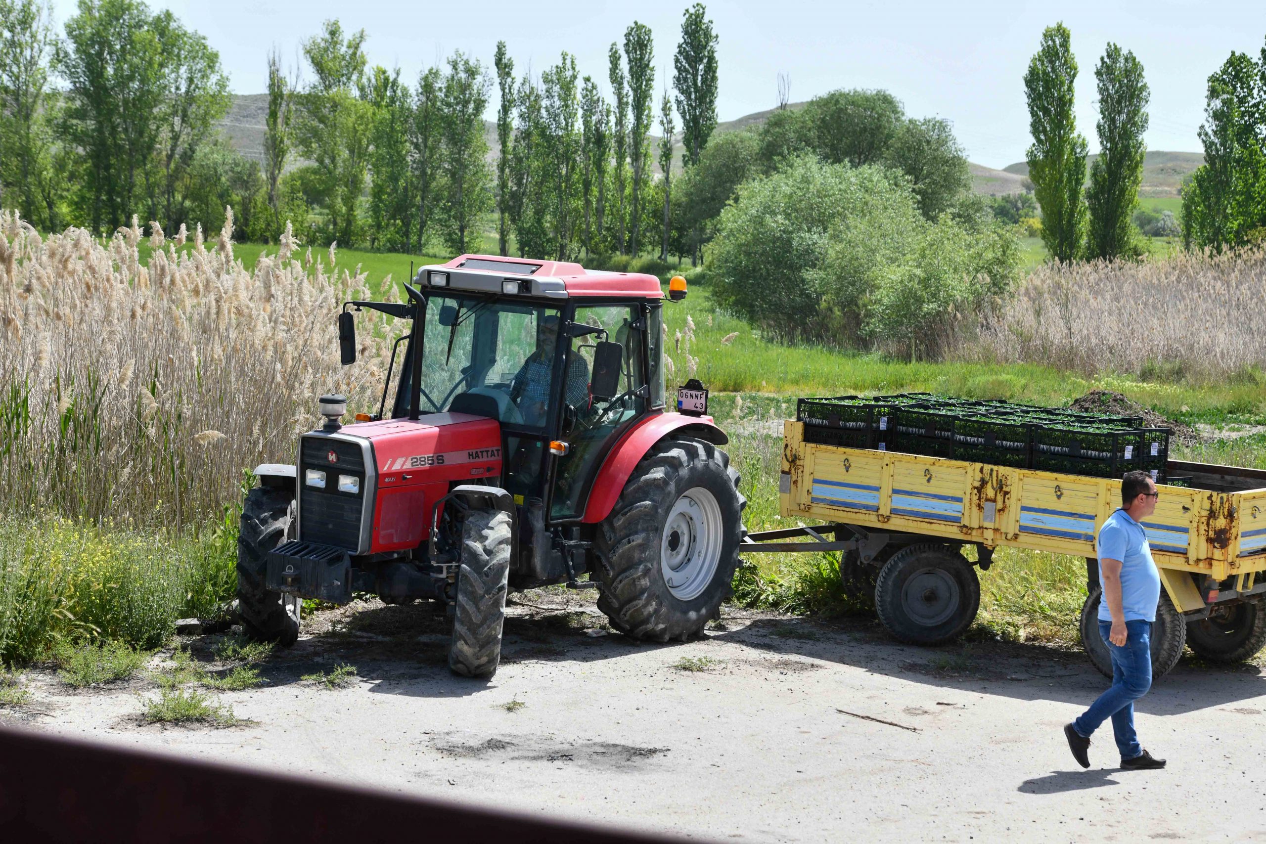 BAŞKENT’TE YERLİ ÜRETİCİYE DESTEK DEVAM EDİYOR: ABB SEBZE FİDESİ DAĞITIMINA BAŞLADI