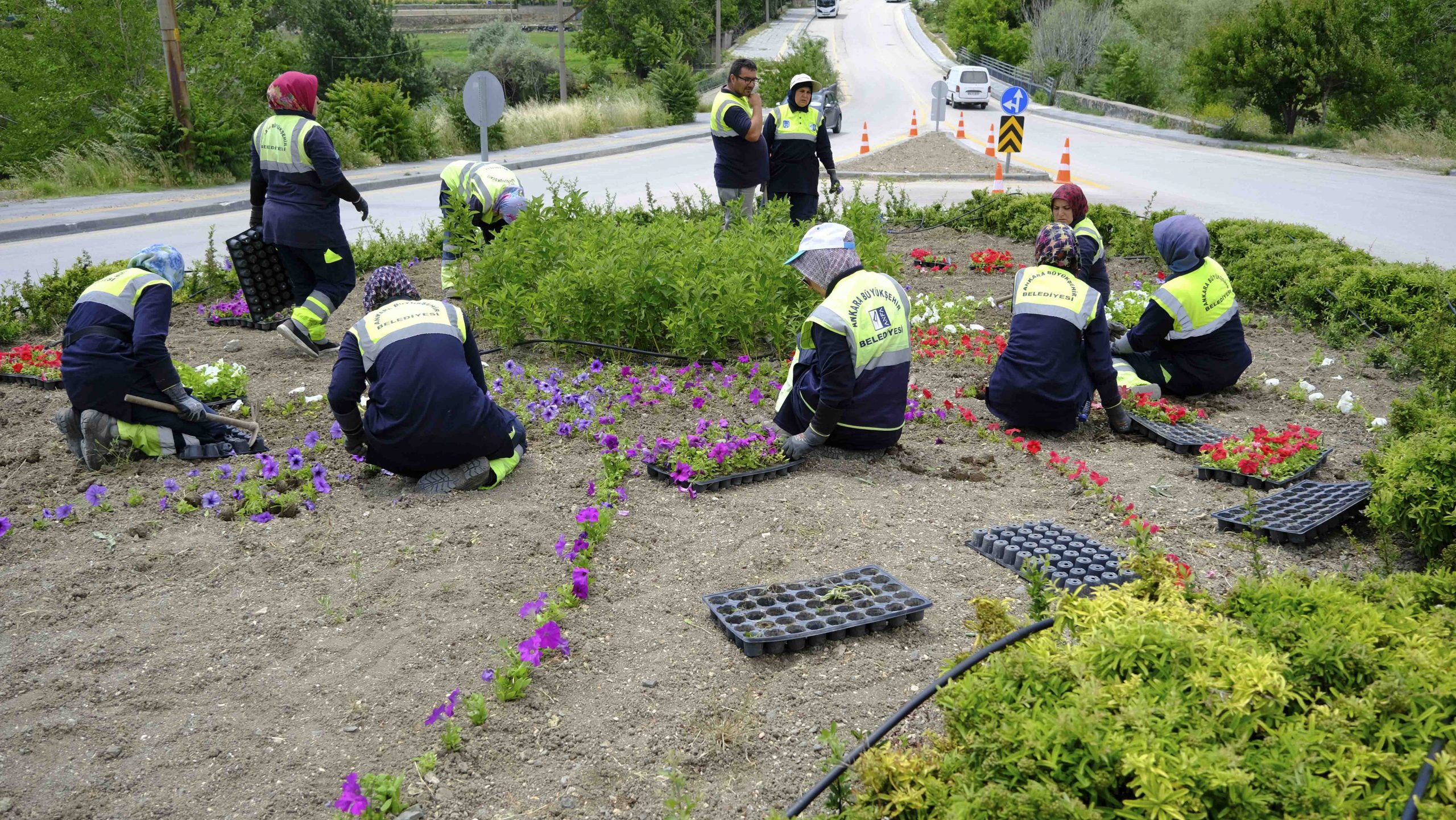 BAŞKENTLİ KADINLARIN YETİŞTİRDİĞİ MEVSİMLİK ÇİÇEKLER BAŞKENTİ SÜSLÜYOR