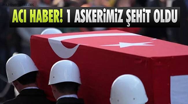 MSB: Van’da 1 asker silah kazası sonucu şehit oldu