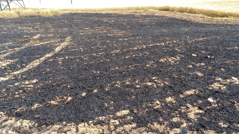 Beypazarı’nda Anız Yangını