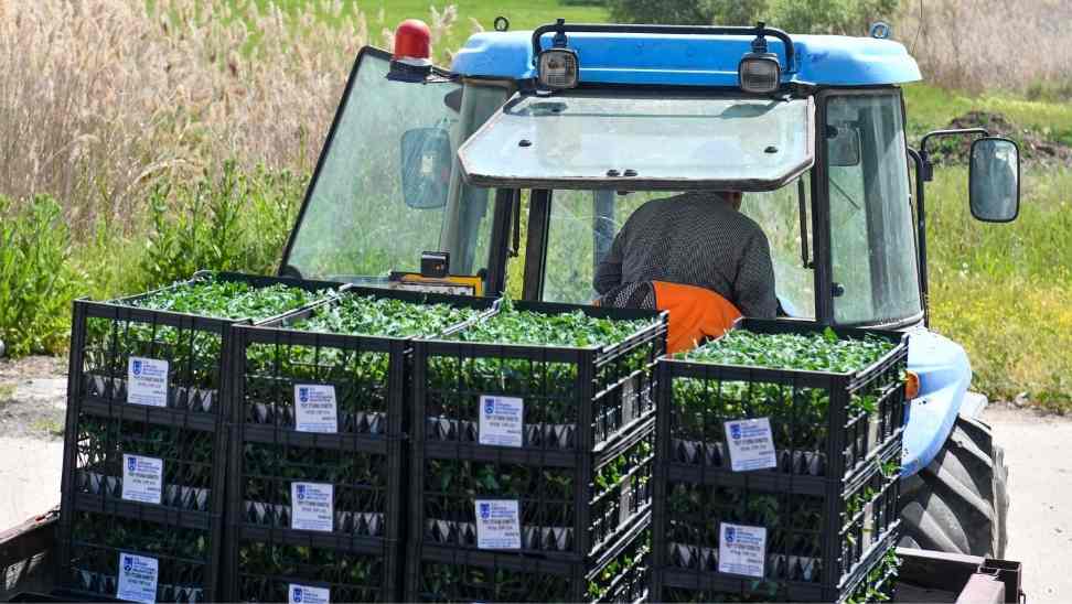 Ankara Büyükşehir Belediyesi’nden Çiftçiye Destek