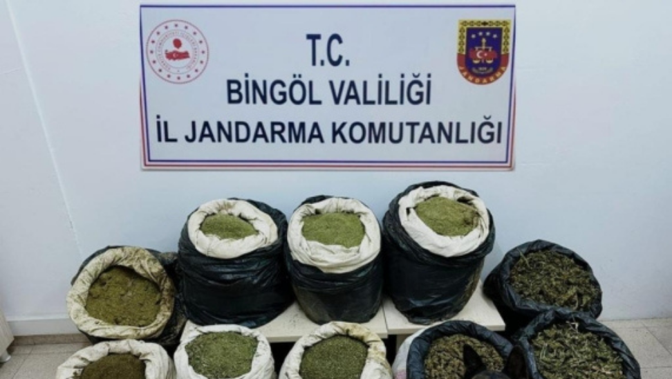 Bingöl’de 3 Milyon 325 Bin Kök Kenevir Bitkisi Ele Geçirildi