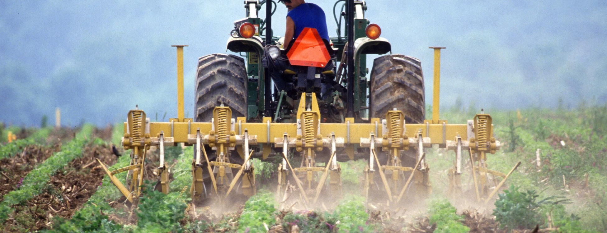 Çiftçilere Ödenecek Tarımsal Destekler Açıklandı