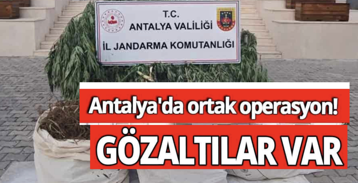 Antalya’da Ortak Operasyon! Gözaltılar Var