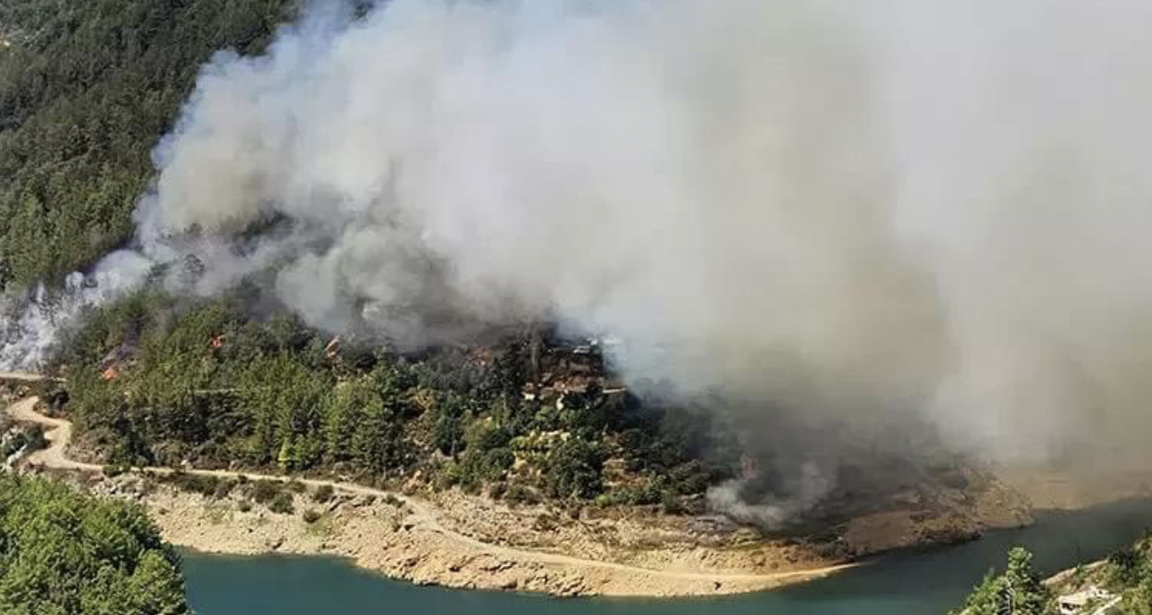 Alanya’da Orman Yangını