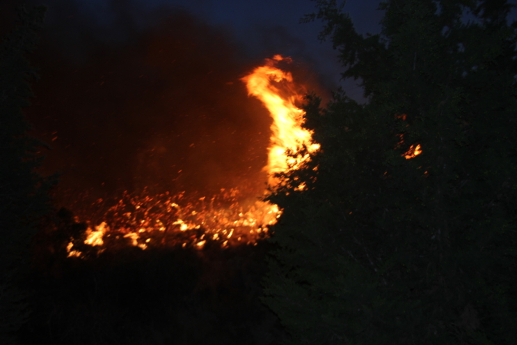 Didim’de korkutan yangın