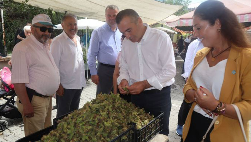Trabzon Milletvekili Yavuz Aydın’dan Bakana Trabzon Eleştirisi! “Fındık Üreticisi Sahipsiz Kaldı”