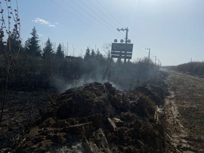 Uşak’ta Yabani Ot Yangını