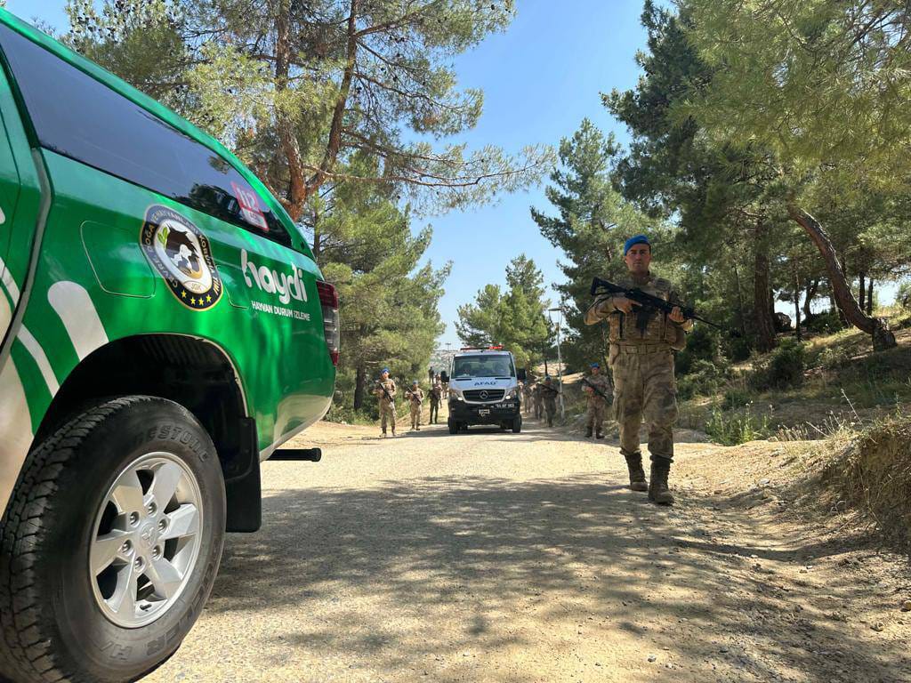 Jandarma Komandosu ve Haydi’si İle Orman Yangınlarını Önleme Çalışmalarında Tek Yürek Oldu