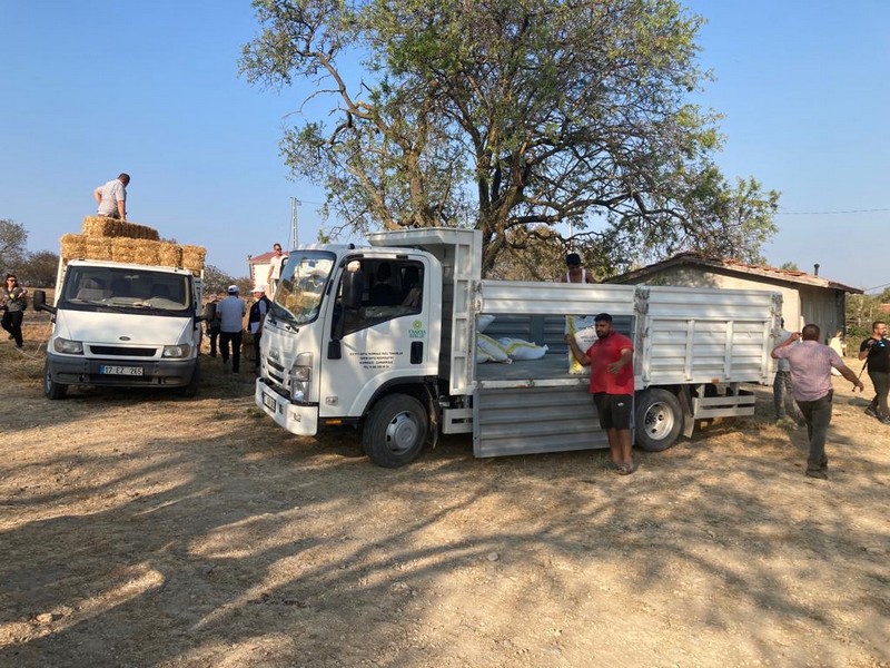 Çanakkale Ruhu, Yine Kendini Gösterdi