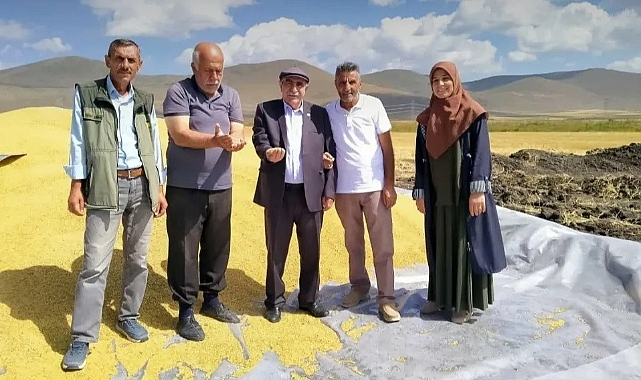 TMO Ardahan’da İlk Kez Hububat Alıma Başladı