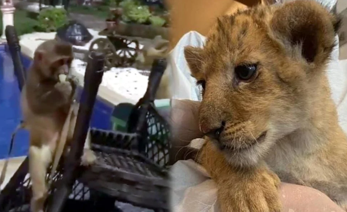 Tekirdağ’da Bir Villaya Operasyon