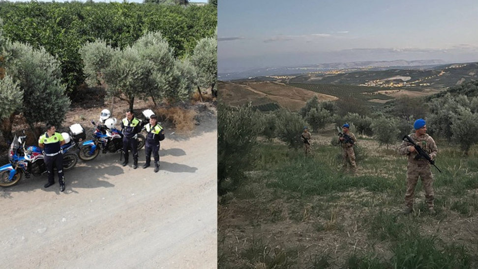 Hatay’da narenciye bahçeleri jandarmaya emanet