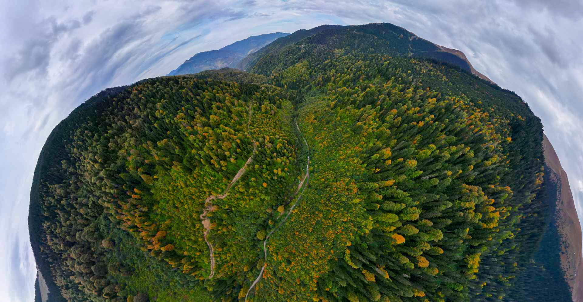 Örümcek Ormanları büyülüyor