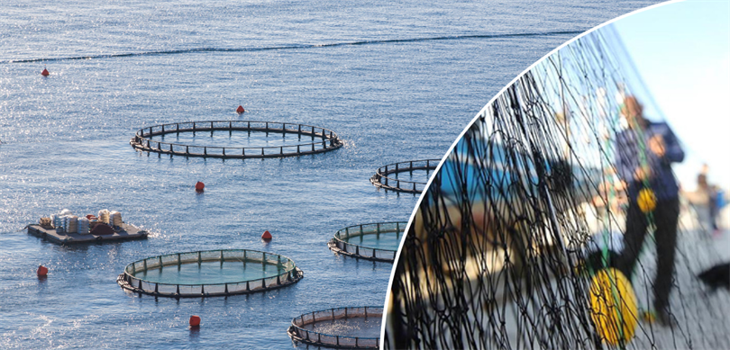 Depremden etkilenen Balıkçıların destekleme ödemeleri yapıldı.