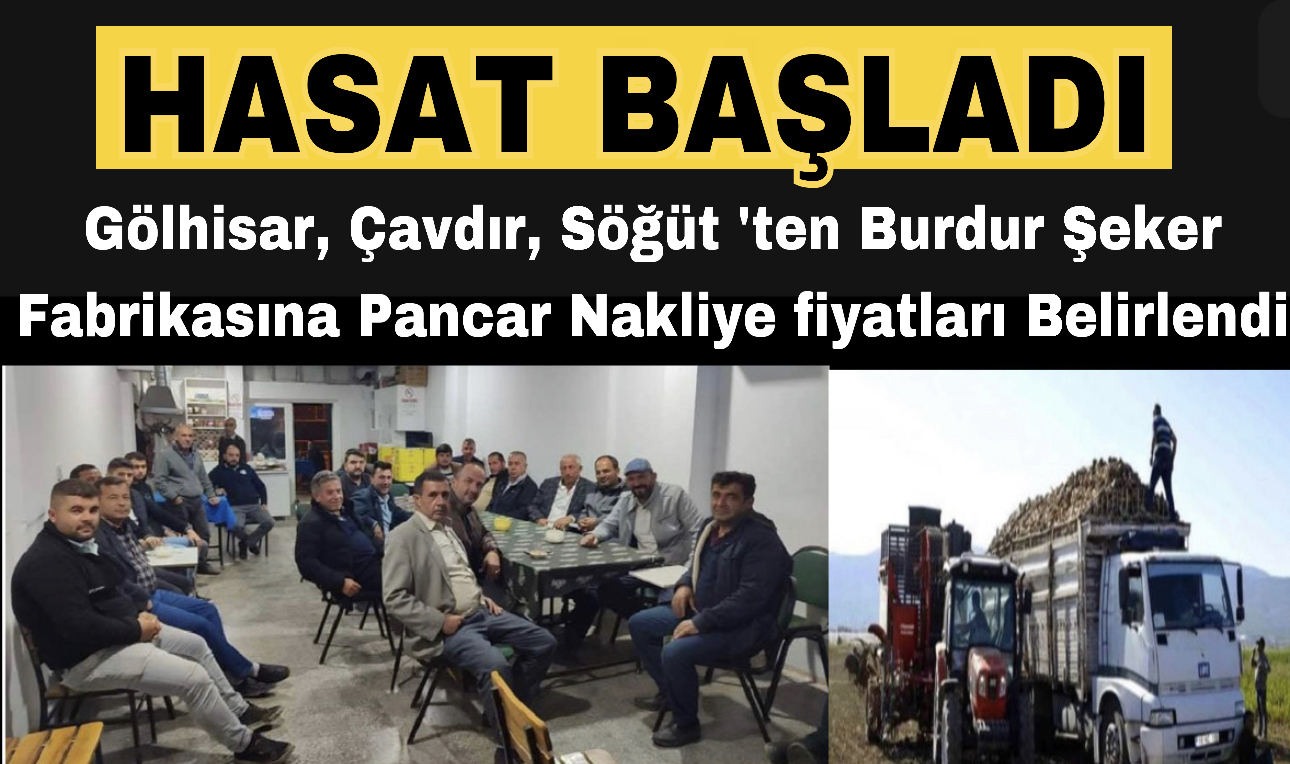 Hasat başladı şeker fabrikasına pancar nakliye fiyatları belirlendi