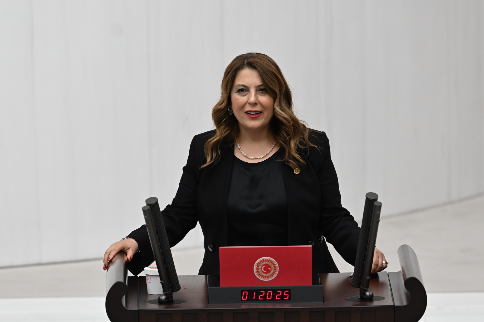 Elvan Işık Gezmiş’ten Dal-Çık Projesi Uyarısı