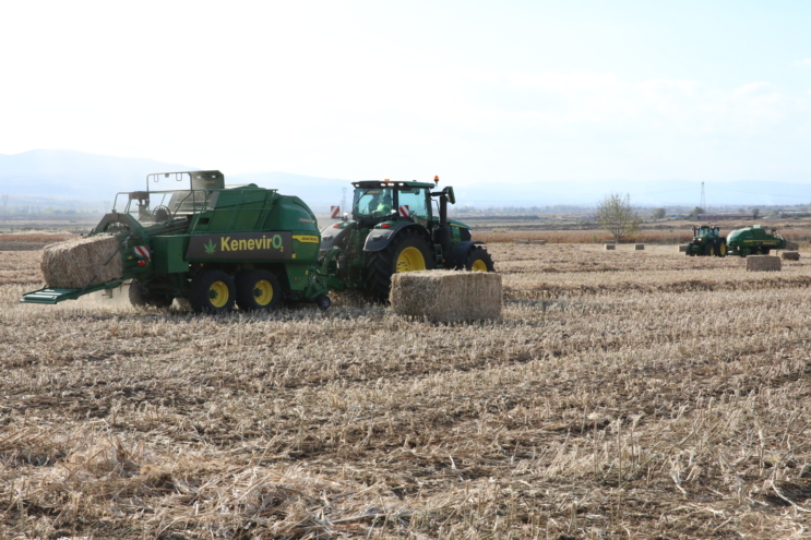“Kenevir yatırımı milli bir projedir”