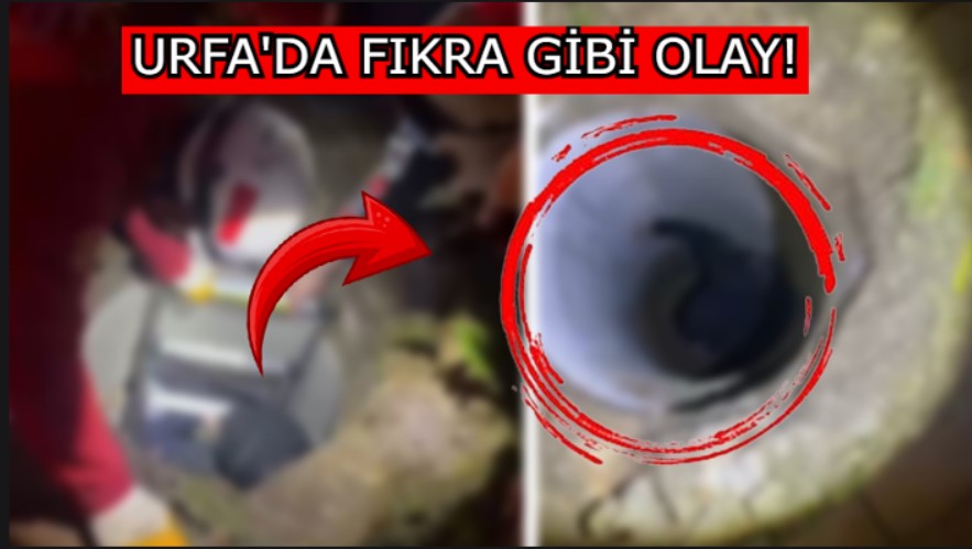 Şanlıurfa’da hırsızlığın böylesi! Bakın neye mal oldu?