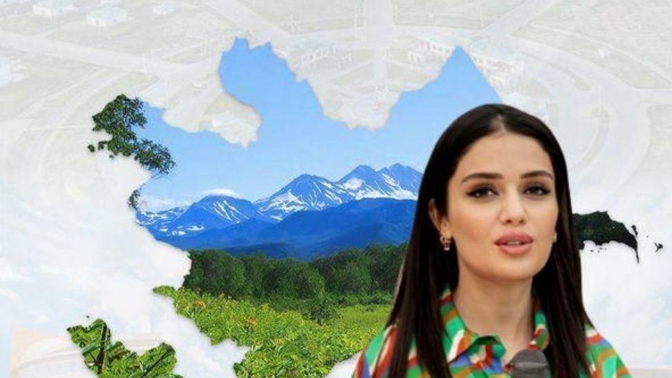 Yeşil dünya için dayanışma yılı