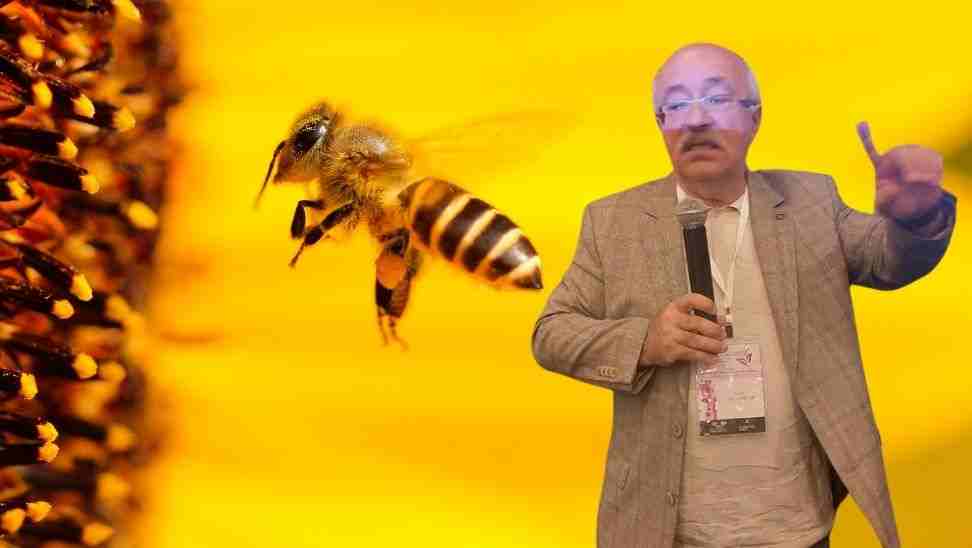 Arının dirisi de ölüsü de şifa kaynağıdır – Birlik Haber Ajansı- Türkiye’nin Haber Ağı