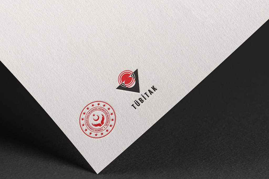 Türkiye’de Kadına Yönelik Şiddet Araştırması