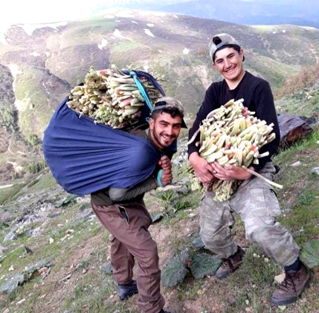 Dağlardan tezgahlara yayla muzu