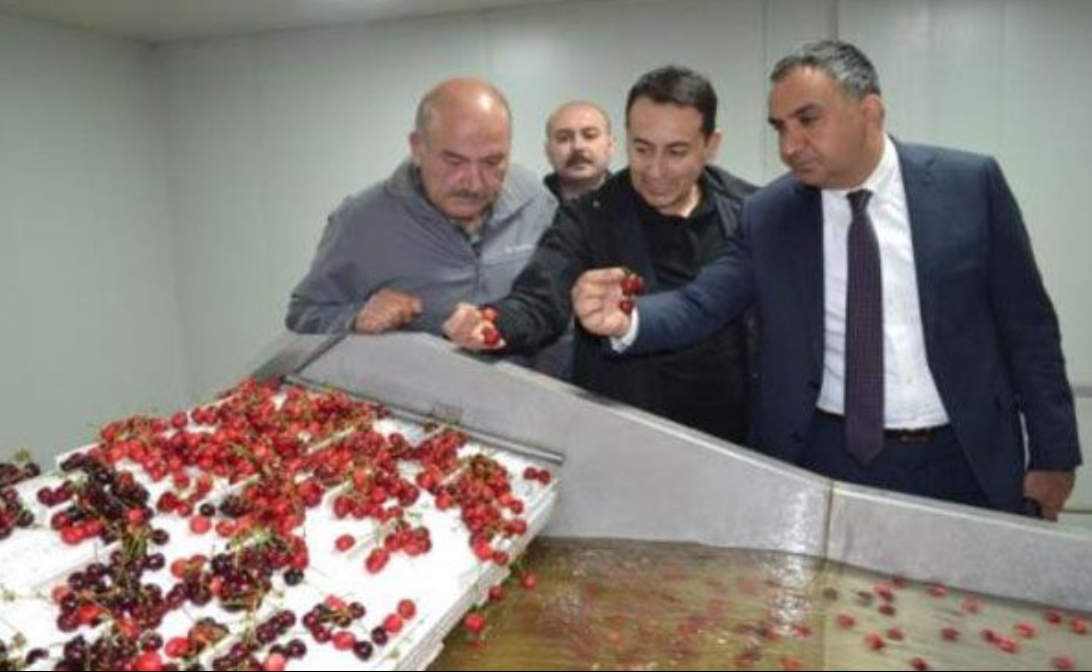 Eğirdir’den dünyaya kiraz ihracatı başladı