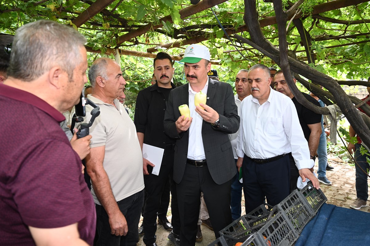 Sera kentler kurulacak