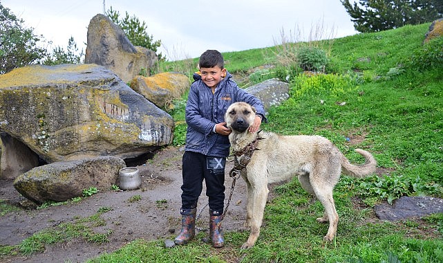 Gençlerin gözüyle Ardahan foto safarisi tamamlandı