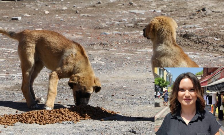 Sokak hayvanları için Yenikapı’da tek yürek olacaklar