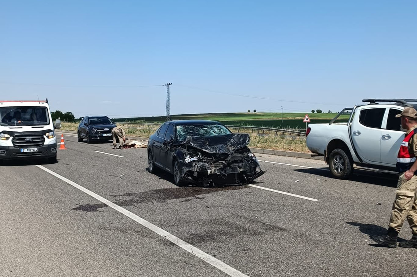 Otomobil inek sürüsüne daldı