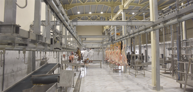 Bu denetimlerde 532 kesimhaneden 3’ünün onayı iptal edildi