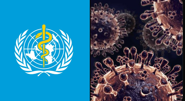 Yeni pandemi mi geliyor? H5N1 sebebiyle ilk ölüm gerçekleşti