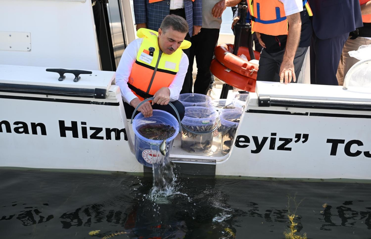 Eğirdir gölü’ne bir milyon yüz bin sazan balığı bırakıldı