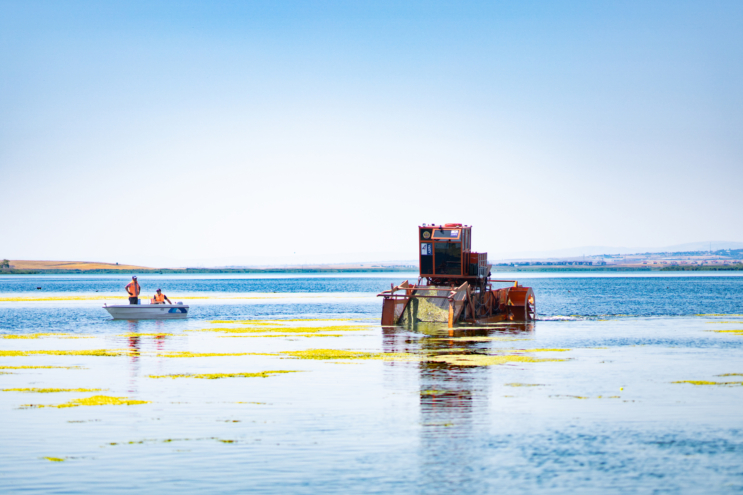 Mogan Gölü’nü Ankara Büyükşehir ve Gölbaşı belediyeleri temizliyor