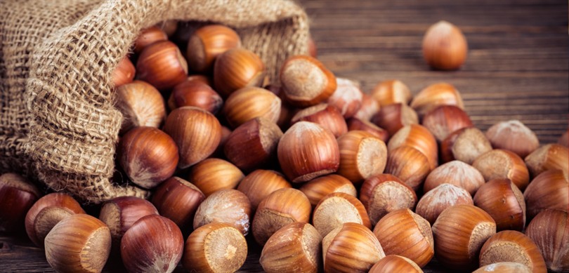 TMO Kabuklu Fındık Alım Fiyatlarını Belirledi