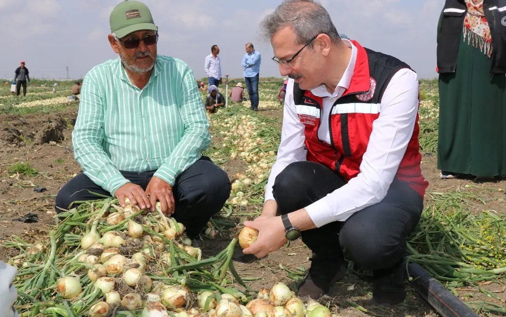 Tarımda yeni destekleme modeli hayata geçiyor