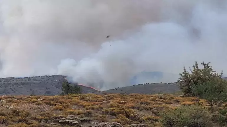 Ankara’da başlayan yangın Bolu’ya sıçradı